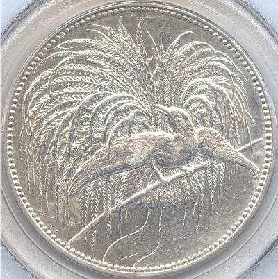 ドイツ領ニューギニアの5マルク銀貨